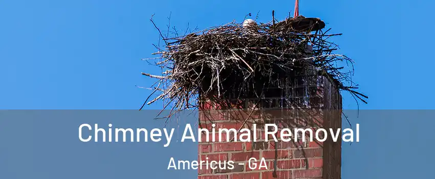 Chimney Animal Removal Americus - GA